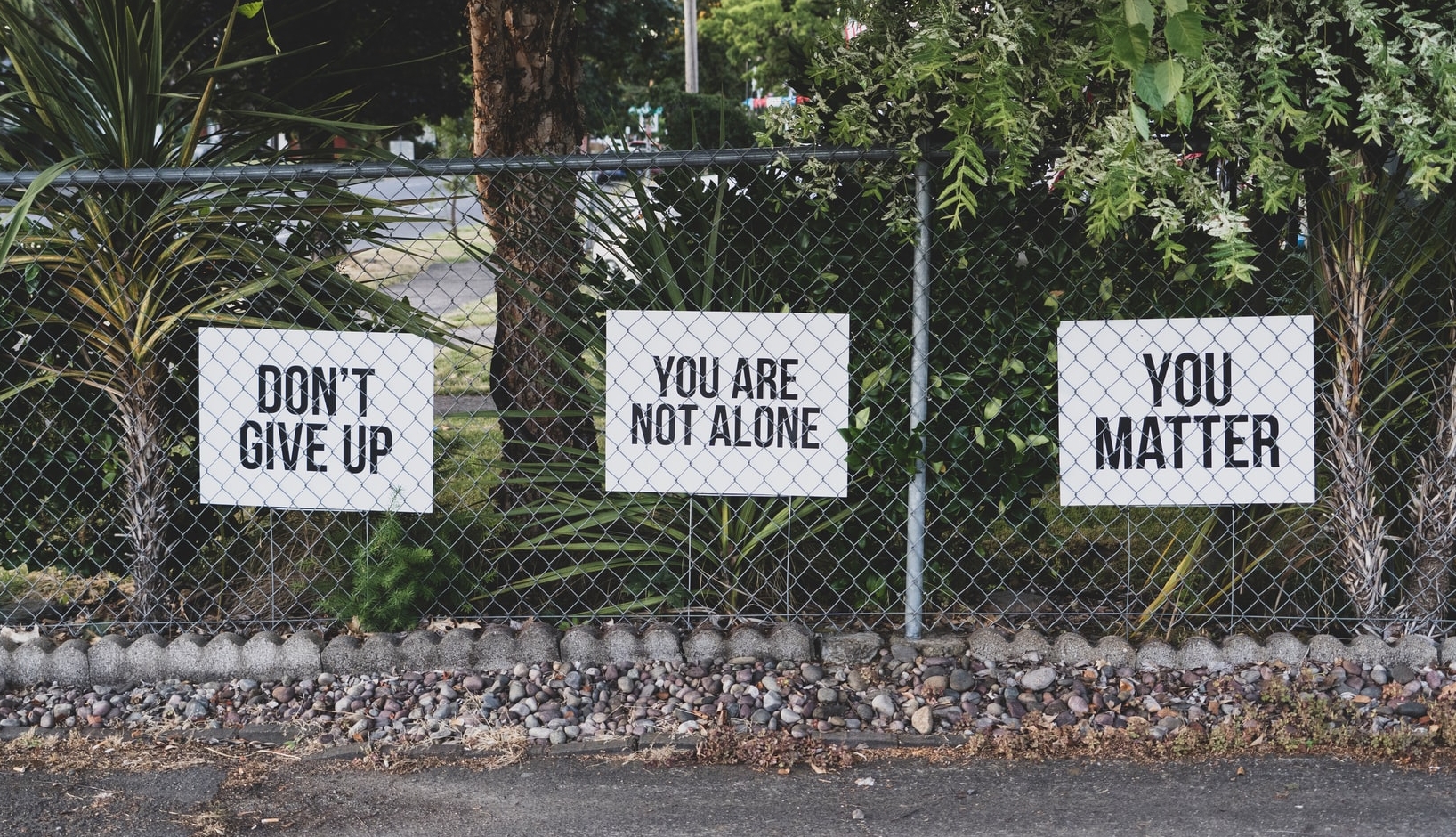 not alone
