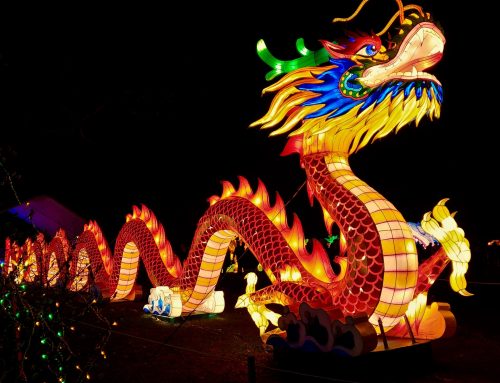 Lunar New Year Resolutions for Nonprofits